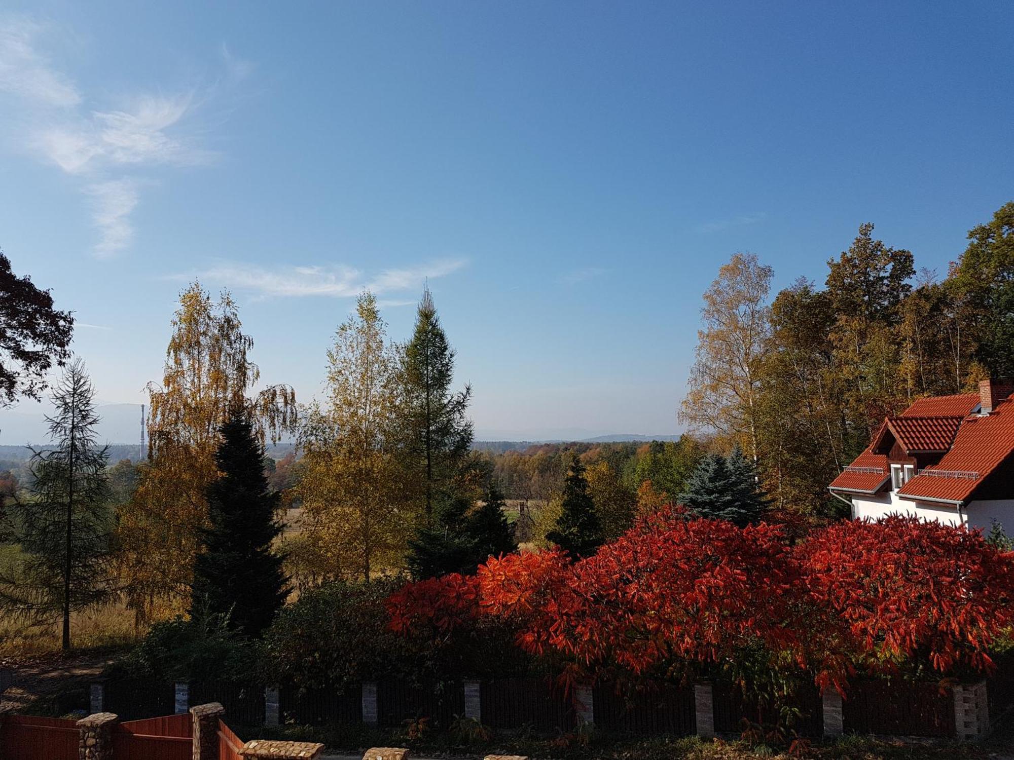 Bukowiec  Sarna Karkonosze 아파트 외부 사진