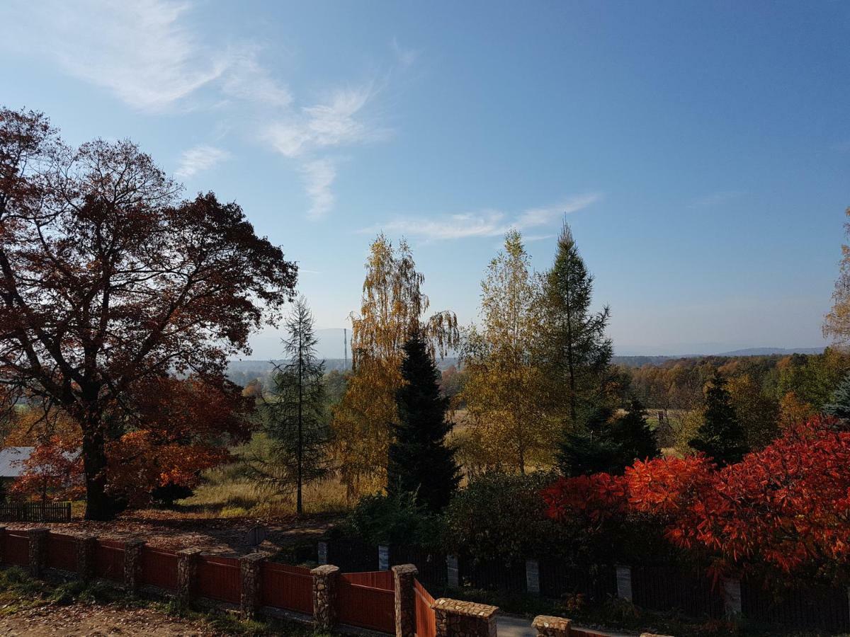 Bukowiec  Sarna Karkonosze 아파트 외부 사진